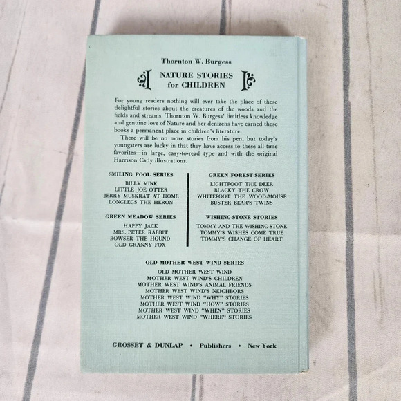 Vintage 1920s Hardcover Storybook Tommy  and the Wishing Stone Illustrated - Picture 3 of 15